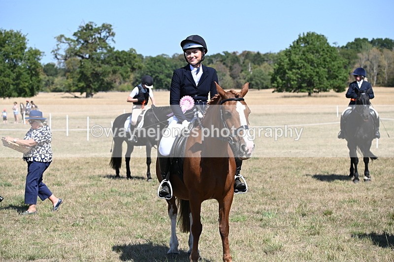 WJ6_8512 - Class 37a Best Loan Pony Ridden