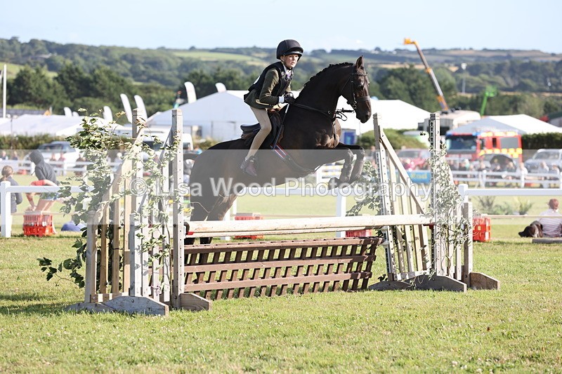 JPP_3249 - Class 21: Working Hunter 80cm