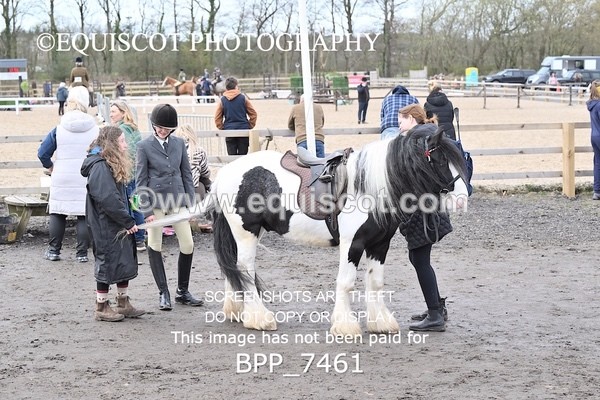 BPP_7461 - RING 1  (RIDDEN HORSES / IN HAND / VETERAN ETC)