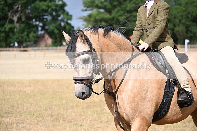 WJ6_7582 - Class 9 Tack and Turnout