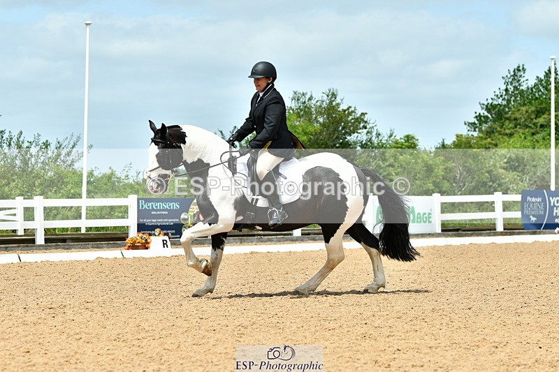 230702A-131126-09806 - Cls 28 Elementary 45