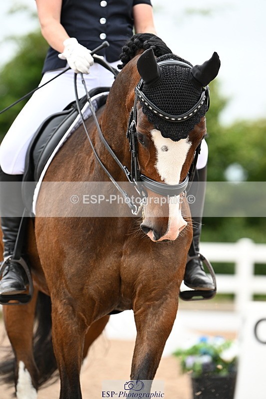 240623A-154819-19790 - Cls 54 BD Medium 73