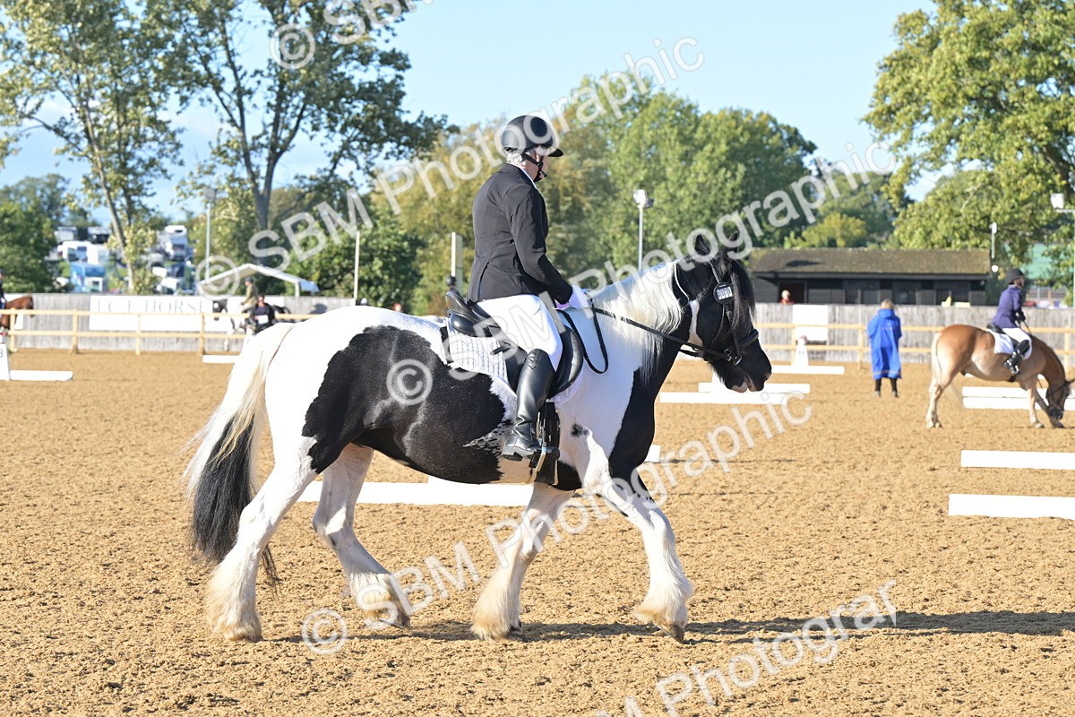 SBM_13028 - D3 - Small Tour Championship Intro 3