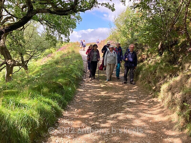 62 Dropping down to Brandstone Beck - The Nidderdale Way Collection