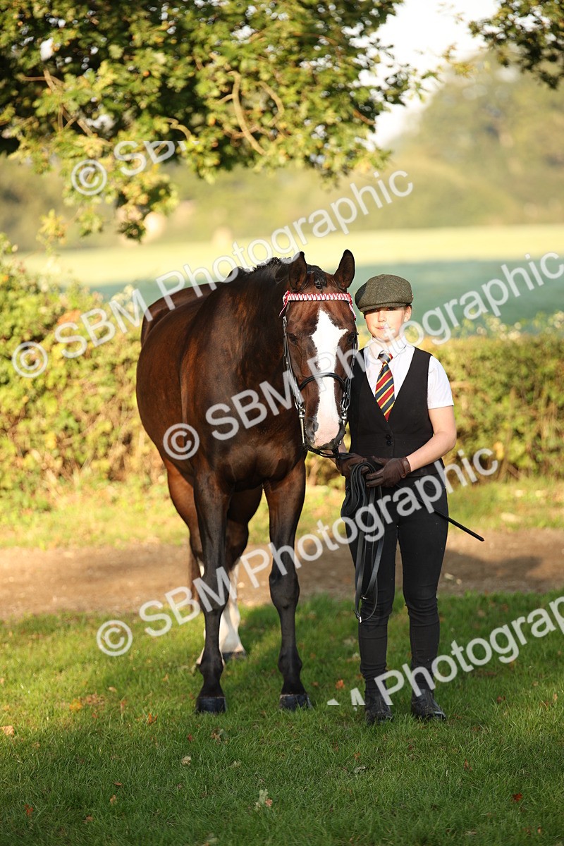 SBM_56912 - S49 - Riding Horse & Hack & Thoroughbred In Hand