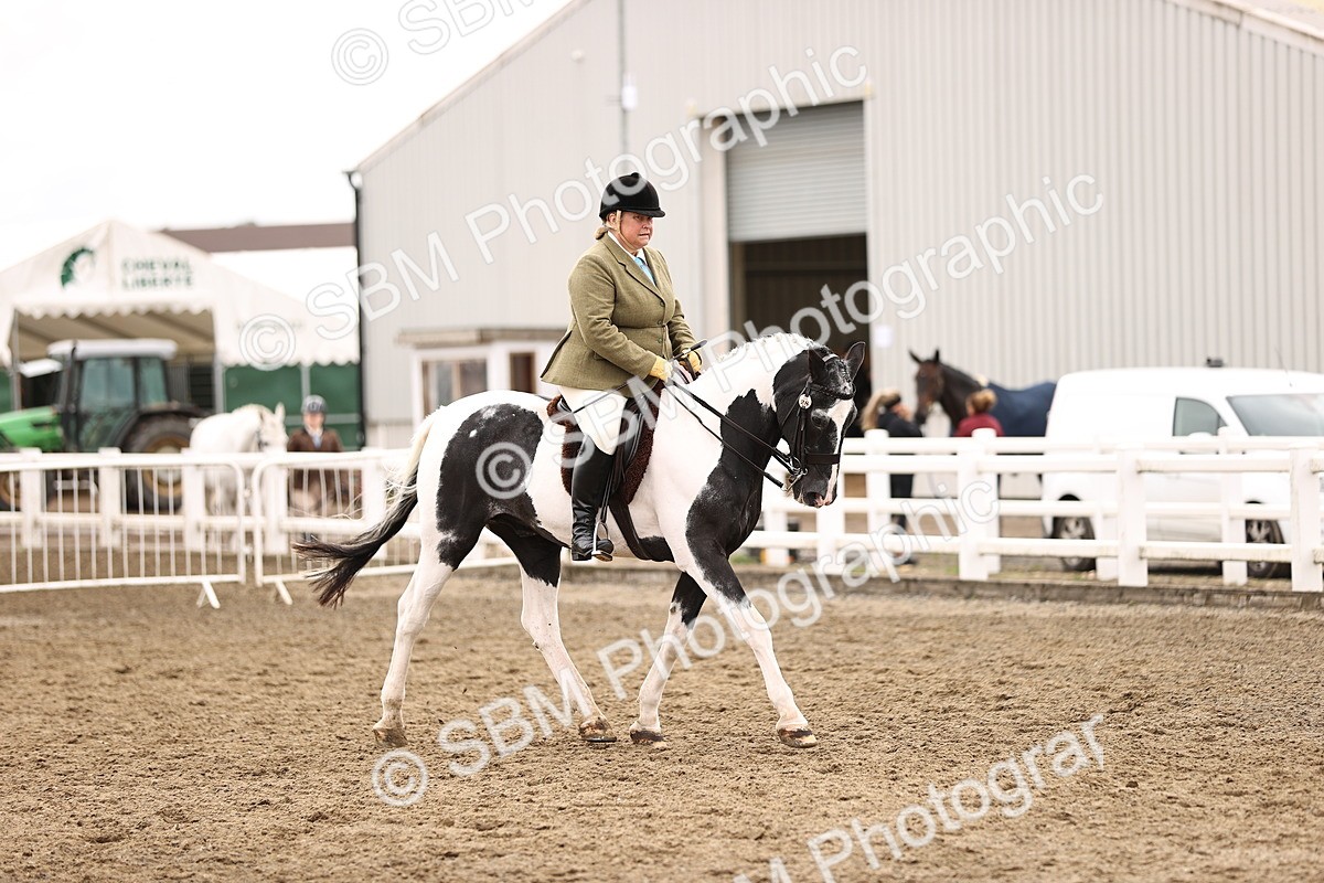 SBM_01343 - Class 54 - Riding Club Horse Pony