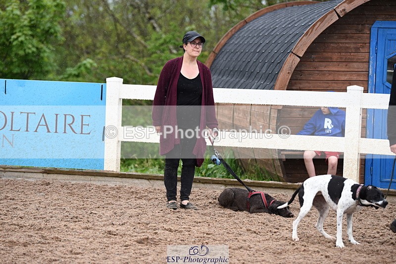 240518A-133844-01340 - Cls 9 Best in Show