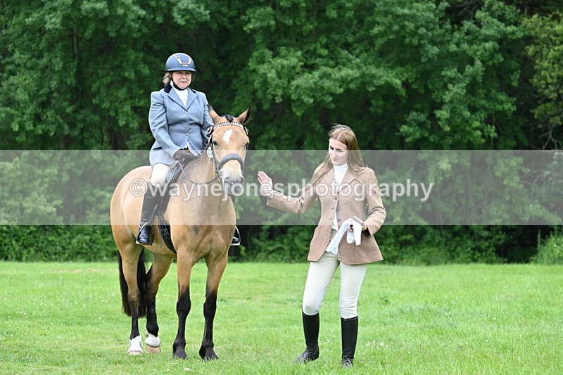 WJ7_4297 - Class 14A Handsome Gelding