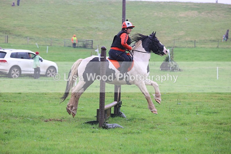 JPP_5131 - Class 1: 65cm : Showjumping