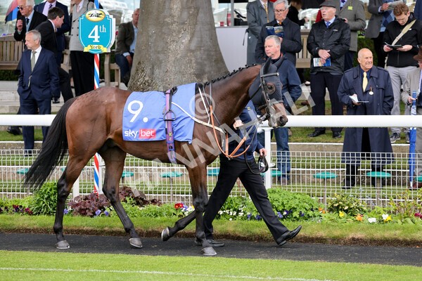 yr11052022r1-5 - Race 1 1.50pm Sky Bet Race to the Ebor Jorvik Stakes
