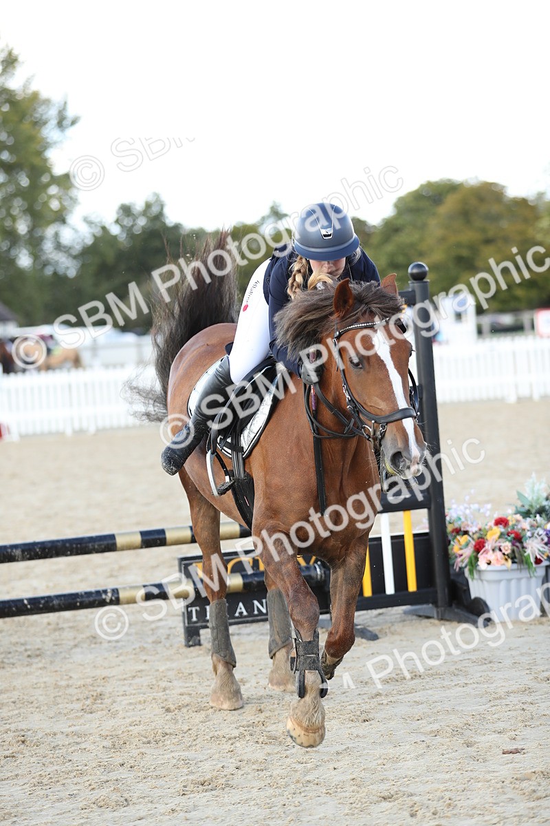 SBM_49517 - J22 - Junior Horse 65cm Championship
