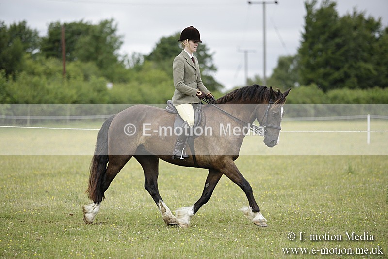 BVR160717-1288 - Ring 1 BVRC Show 16/07/17