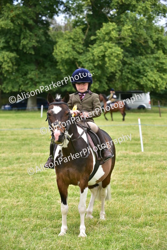 20260614-2715 - Class 13 - Pony Club Pony