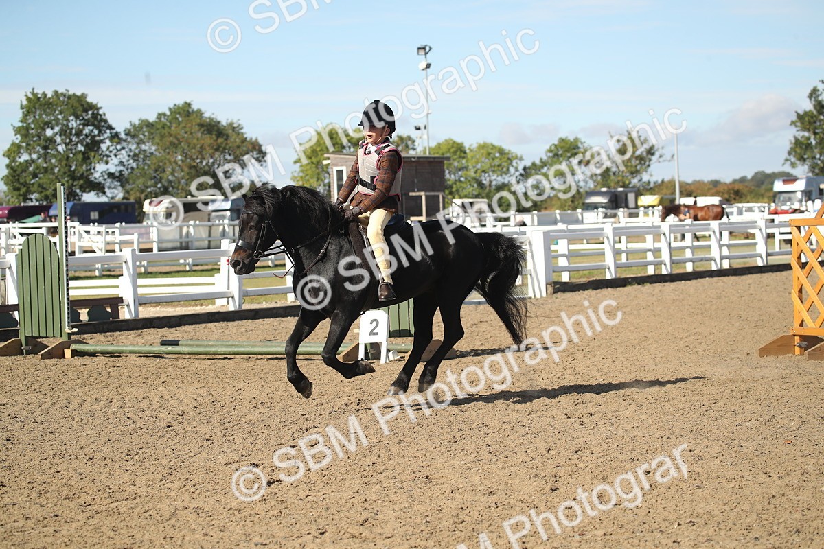 SBM_12690 - Class 504a - Junior Working Veterans - 40cm (15-19)