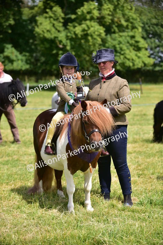 20260614-1295 - Class 11a - Lead Rein Pony (Unplaited)