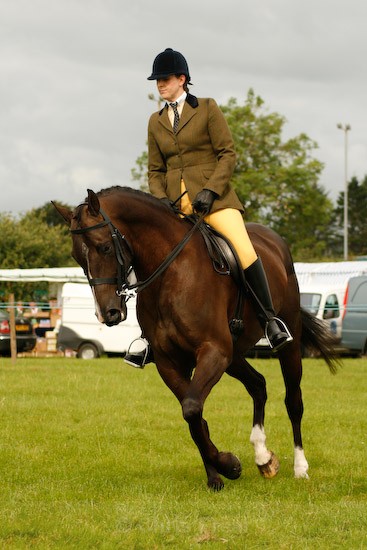 11 - Equestrian Photography