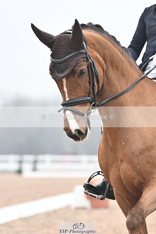 240217A-123006-02238 - 225-Lucy.Goodman-Queenie.S