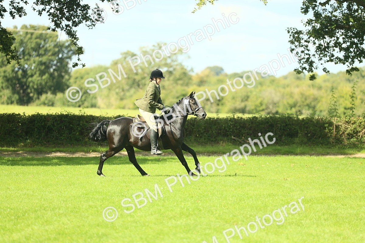 SBM_42069 - S29 - Novice & Newcomers Working Hunter Pony