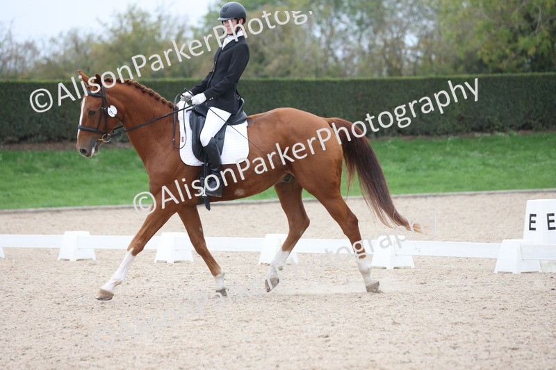 20251011-0565 - Class 4 - Novice 2