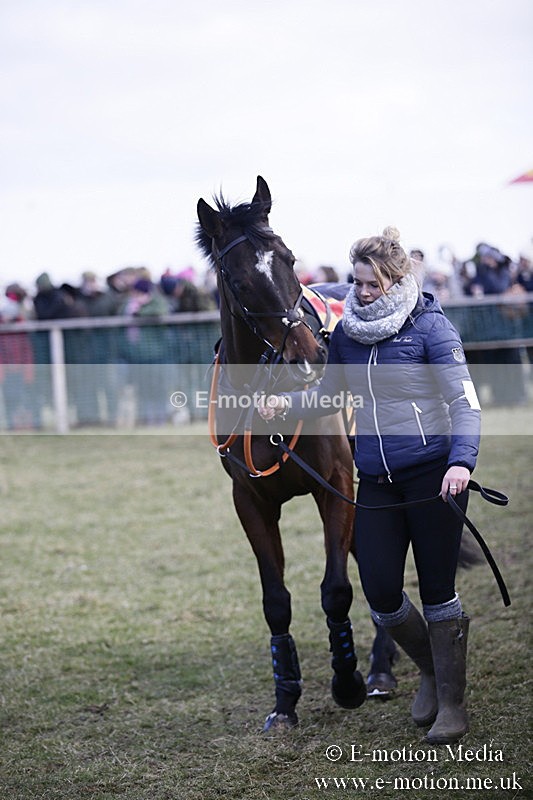 PtP 040218 76 - Point-to-Point Milborne St Andrew 04/02/18