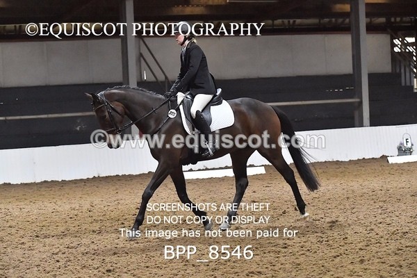 BPP_8546 - NOVICE 4 BD