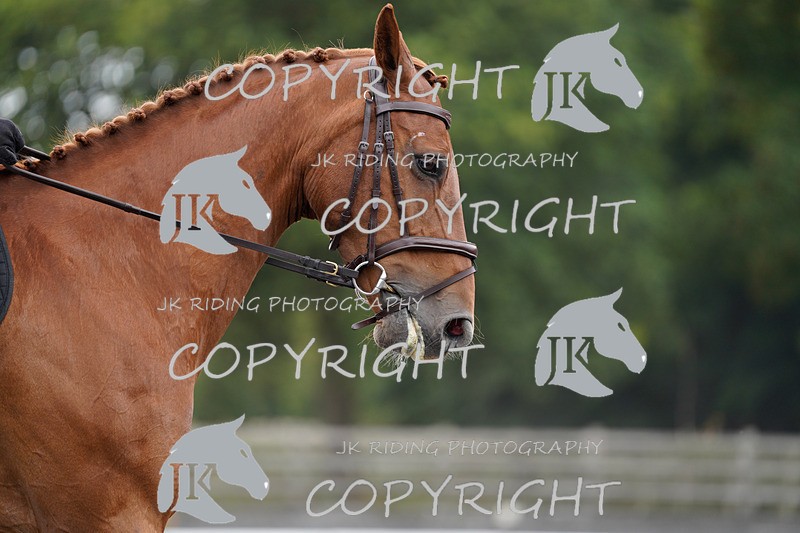 _DSC1823 - NOVICE 2