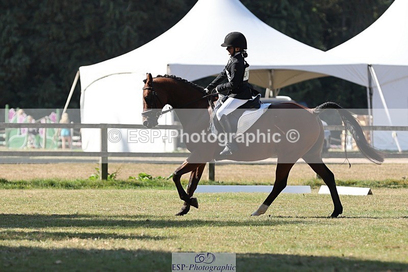 250823A-102622-27026 - Arena C