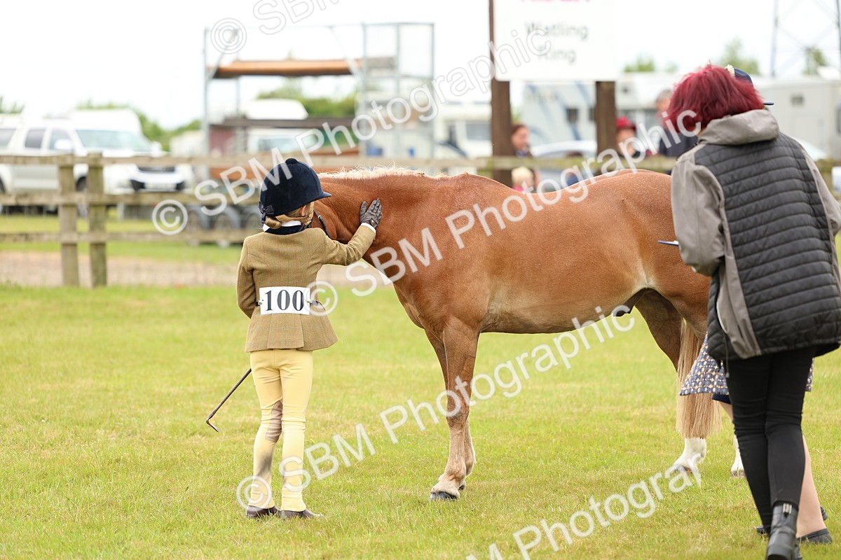 SBM_10259 - Class 44-45 - LIHS BSPS Open Nursery and Cradle Stakes