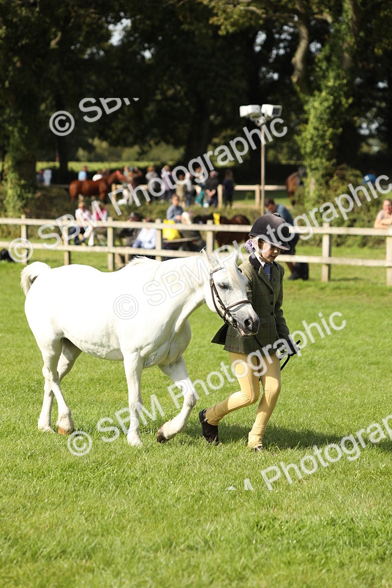 SBM_68600 - S40 - Junior Handler 9-12 Years