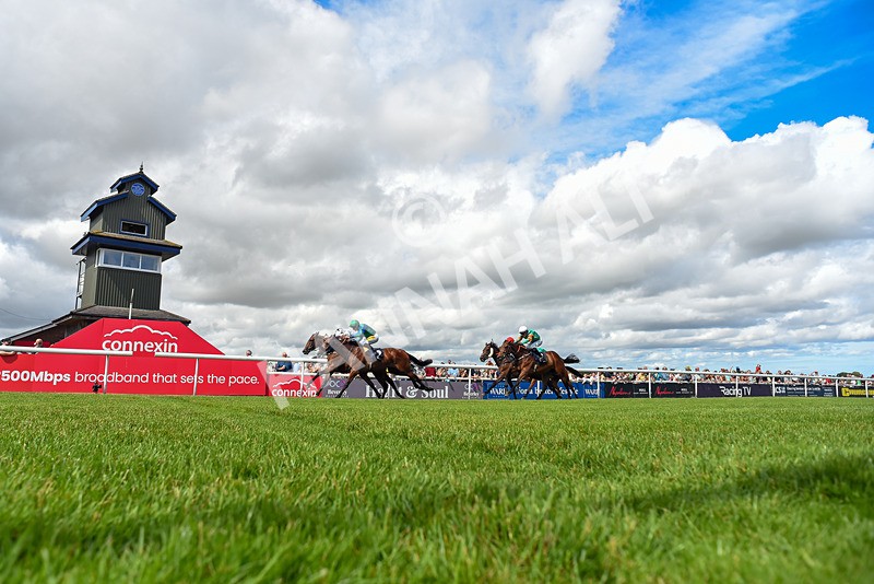 040726-Race 3-Emerald Bay-5846 - Race 3 15.24pm George Kilburn Memorial Nursery Handicap