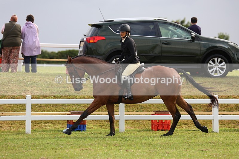 3E7A8095 - Class 2: Rising Star Large Hack/Riding Horse