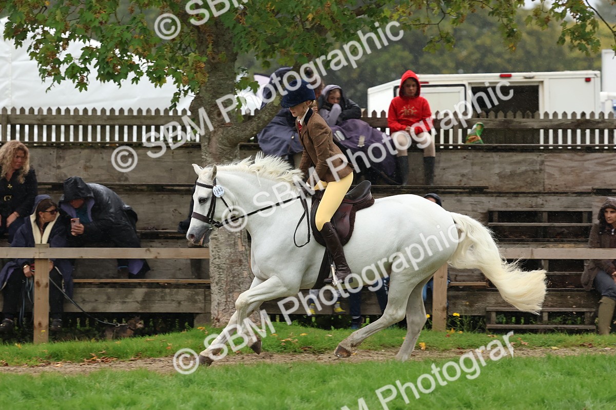 SBM_69691 - S62 - Mountain & Moorland Ridden Large Breeds
