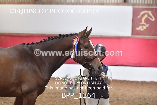 BPP_1364 - MORNING 9AM - 12PM