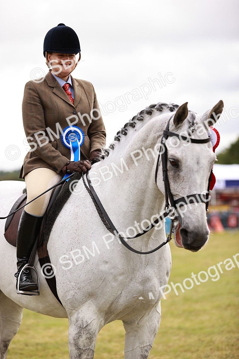 SBM_11580 - Class 81-84 - RIHS Ridden hunters Inc Ladies Hunter