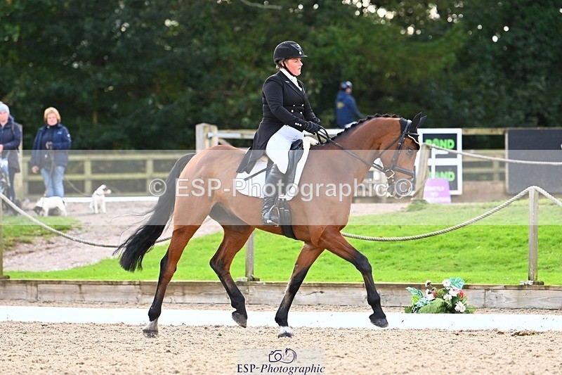 231021-144459-17917 - 359-ROSSDARRAGH.NERO-Charlotte.Rowe-DR