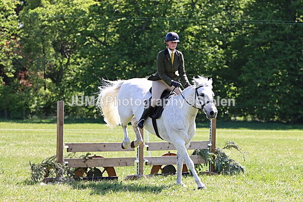 IMG_3865 - Working Hunter