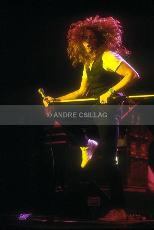 WHITESNAKE - W..