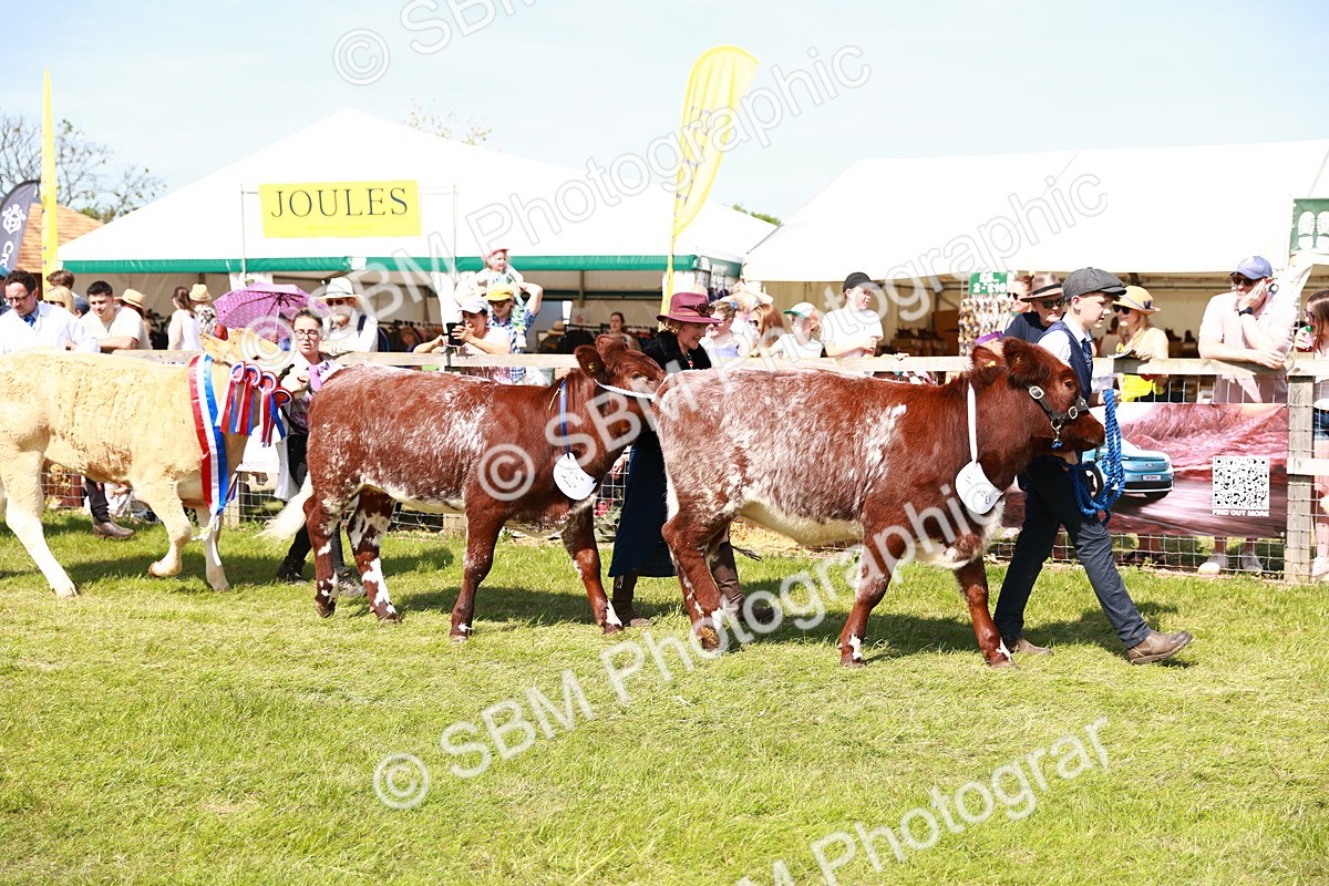 SBM_08334 - Grand Parade