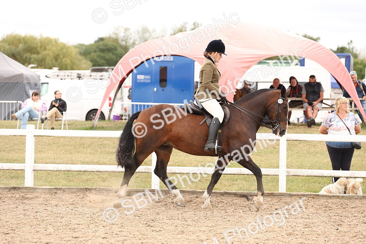 SBM_19495 - Class 215 - Ridden Show cob