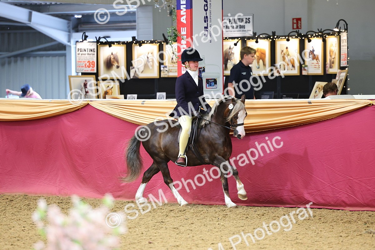 SBM_23501 - Class 904 - Supreme Final Ridden Diamond