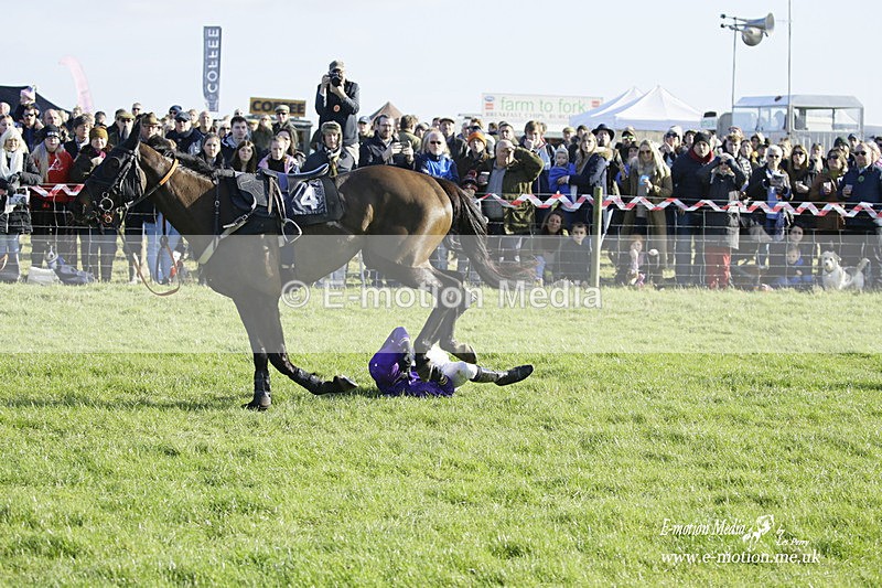 PtP 300122 144 - South Dorset Hunt - Point-to-Point Races 30/01/2022