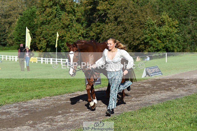 231022-111524-23842 - 564-JANA.DE.CAVAIGNAC-Rosie.Kendall-TrotUp+SJ