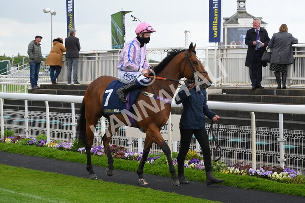 yr22052021r4-19 - Race 4 3.50pm WilliamHill.com Best Odds Guaranteed Stakes