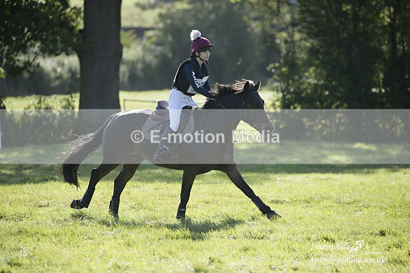  WWHT 031021 852 - WWEC Novice Restricted (0.80m) 18/10/20