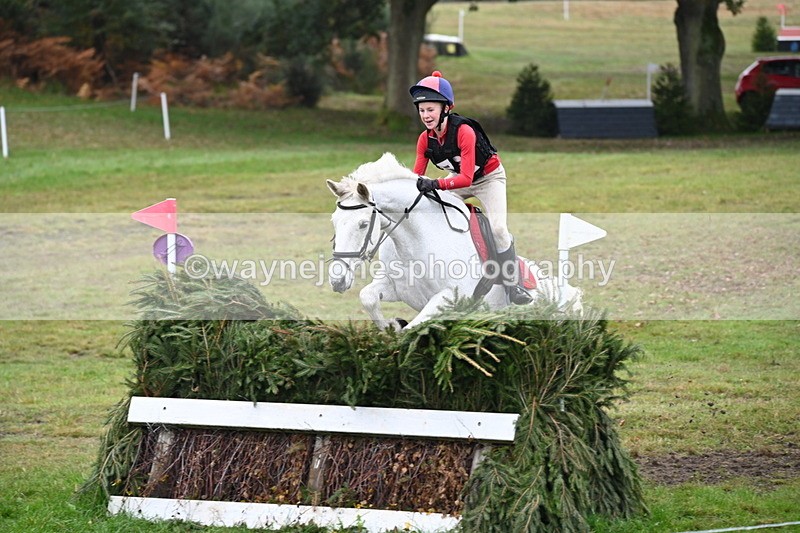 WJ6_2678 - 80cm Cam 1 Time 11:23 to 12:04