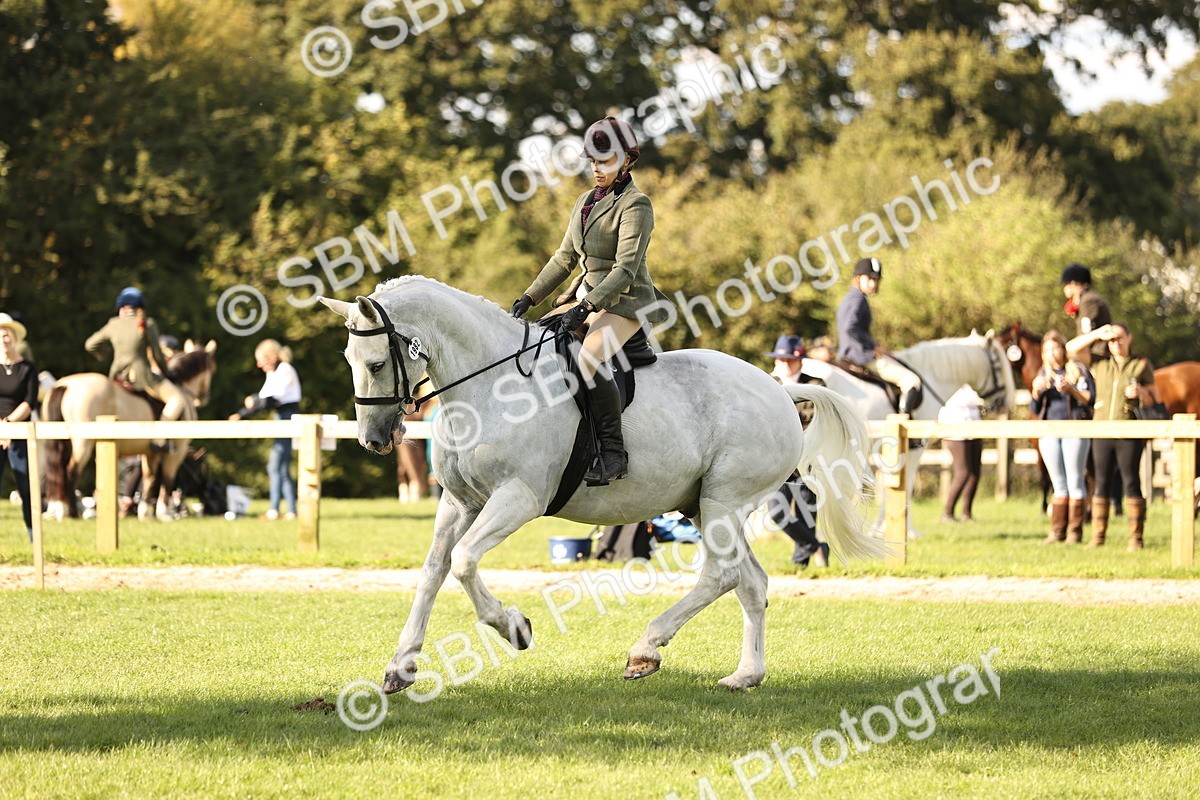 SBM_26421 - S6 - Novice & Newcomers Ridden Horse