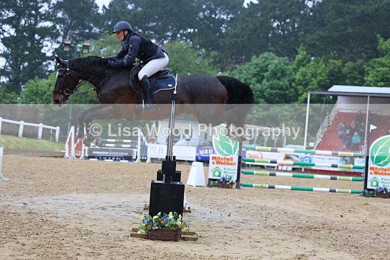 3E7A7453 - Class 8: Senior Foxhunter/1.20 open