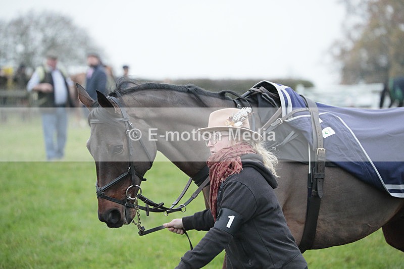 PtP 041222 0575 - Wheatland  Hunt PtP Chaddesley Corbett, Worcs 04/12/22