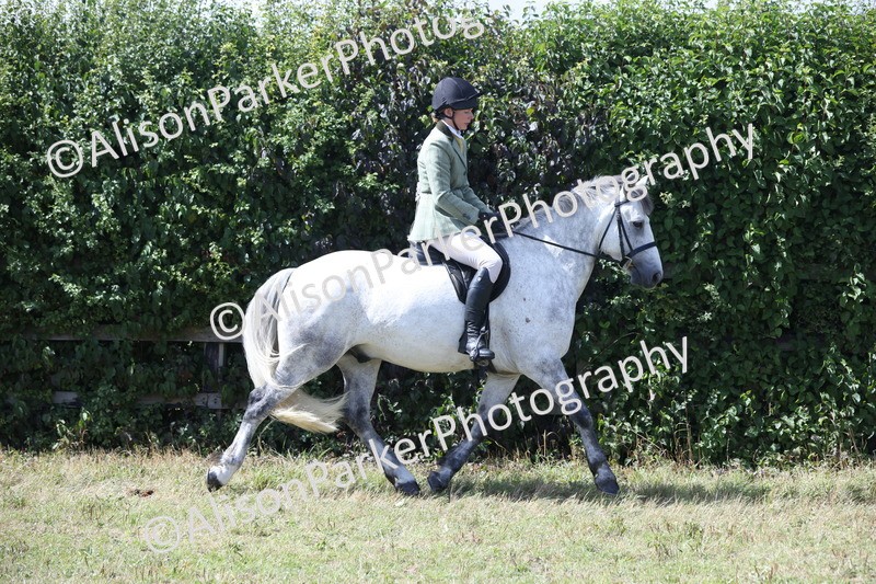 20250831-2926 - Class 19 - Mountain and Moorland