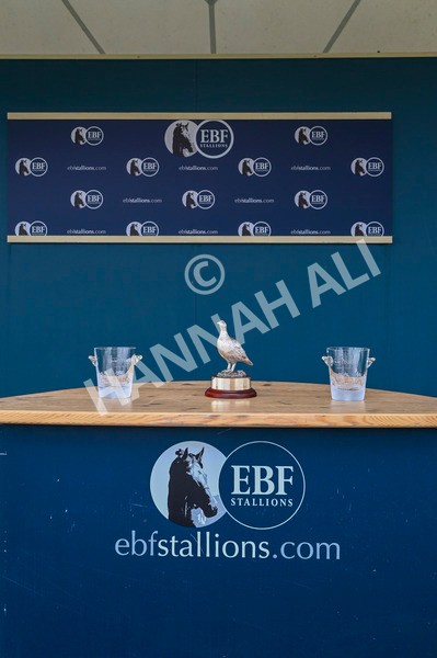220824-Race 5-Scenic-7414 - Race 5 4.10pm British EBF & Sir Henry Cecil Galtres Stakes